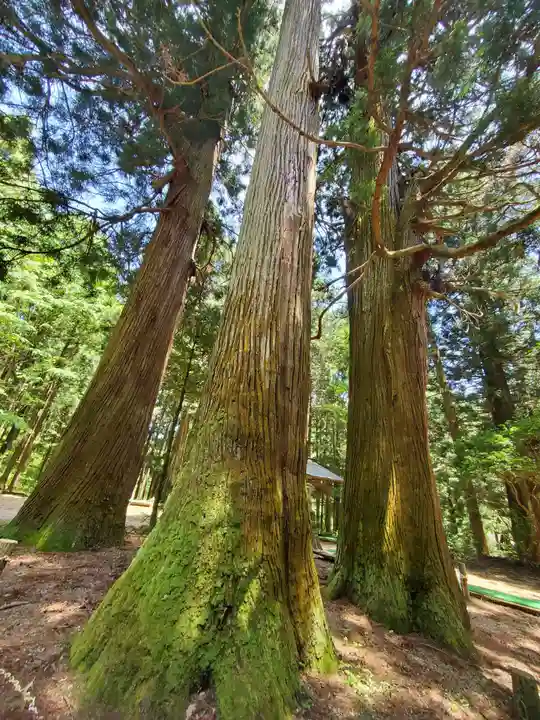 藤沼神社(福島県)