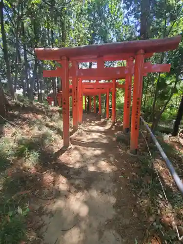 烏子稲荷神社の鳥居