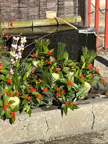 上尾御嶽神社の手水舎