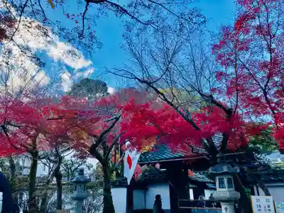 石山寺のその他建物