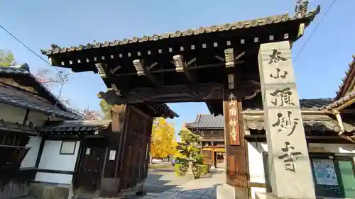 頂妙寺の山門・神門