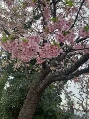 江島神社(神奈川県)