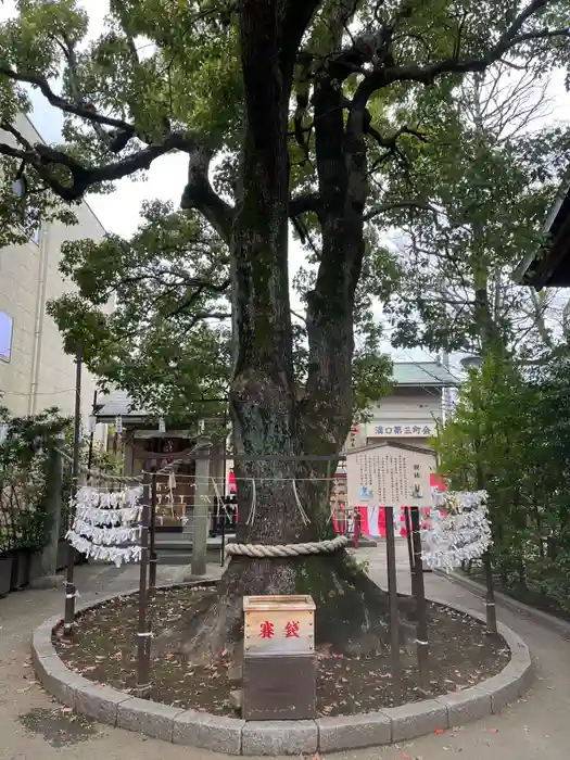 溝口神社の建物その他