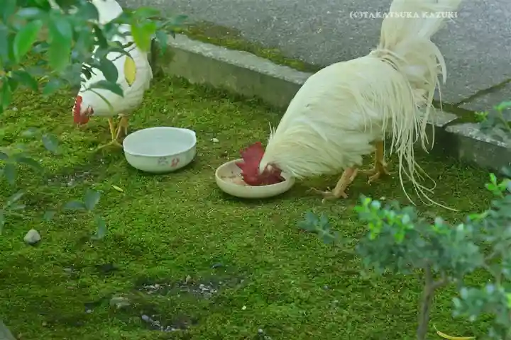 伊勢神宮内宮(皇大神宮)(三重県)
