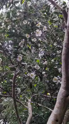 大豊神社(京都府)