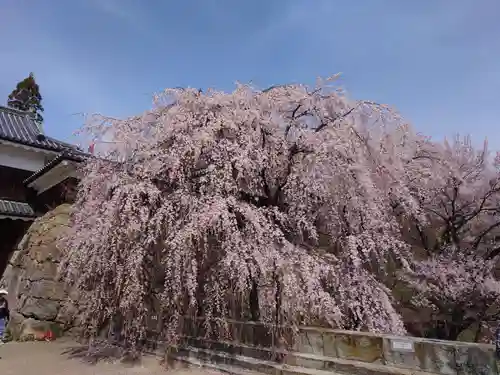 眞田神社の自然