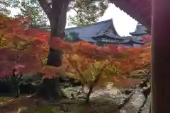 東福禅寺（東福寺）(京都府)