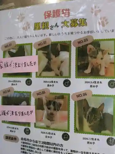 薦神社(大分県)