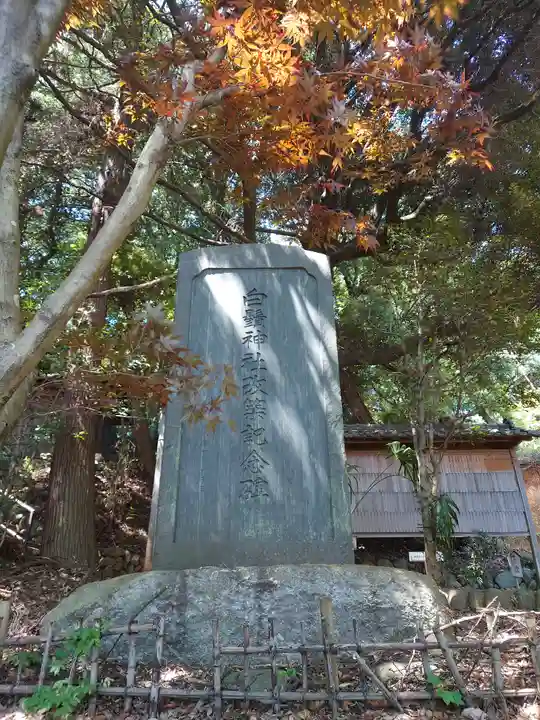 白鬚神社(埼玉県)