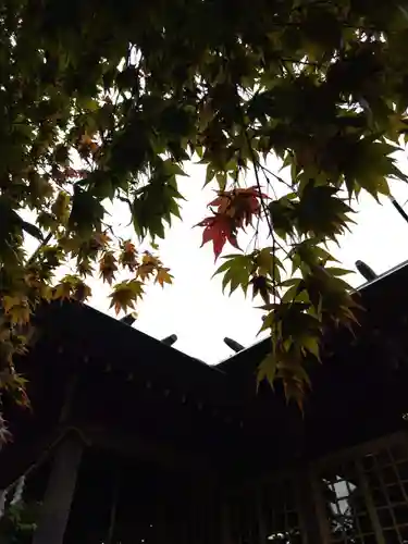 厚別神社(北海道)