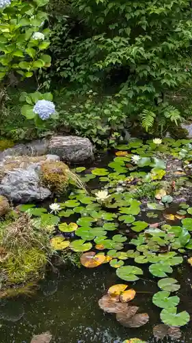 十輪寺(京都府)