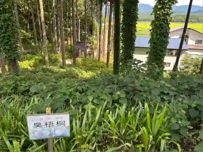 瑞雲院(山形県)