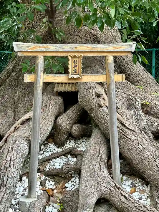 和泉國一之宮 大鳥大社(大阪府)