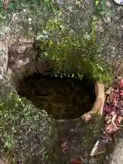 祐徳稲荷神社の自然