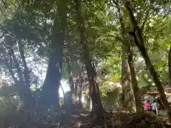 十二天神社(神奈川県)