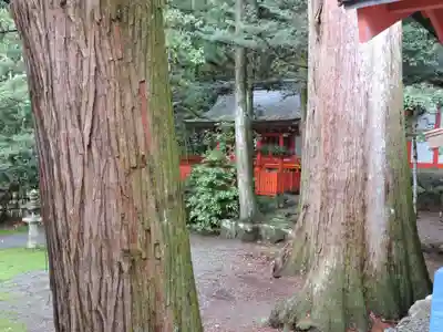 北畠神社(三重県)
