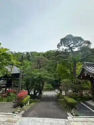 高乗寺(東京都)