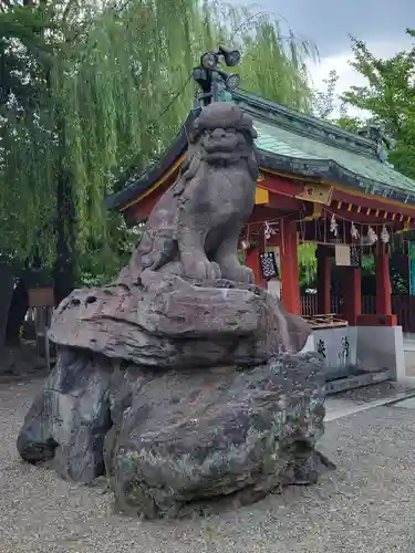 浅草神社の狛犬