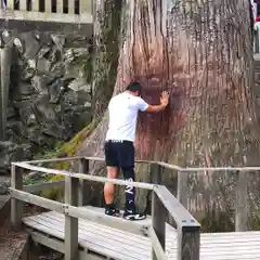 三峯神社(埼玉県)