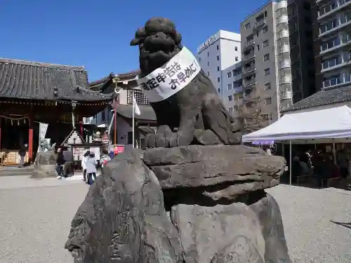 浅草神社の狛犬