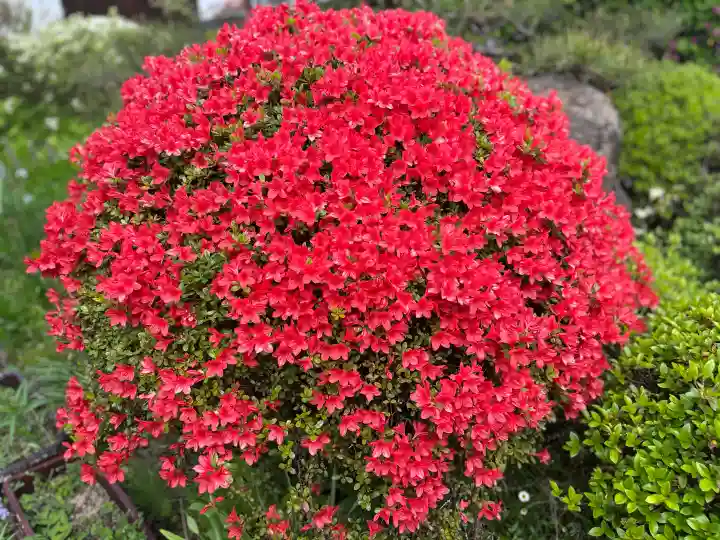 子安地蔵寺の{uncategorized: "未分類", other: "その他", undefined: "問題あり", building: "その他建物", grave: "お墓", sacred_gate: "鳥居", guardian: "狛犬", statue: "像", buddha: "仏像", history: "歴史", nature: "自然", garden: "庭園", animal: "動物", pagoda: "塔", temizu: "手水舎", mountain_gate: "山門・神門", sanctuary: "本殿・本堂", subordinate: "末社・摂社", art: "芸術", scenery: "景色", jizo: "地蔵", ema: "絵馬", goshuin: "御朱印", omikuji: "おみくじ", items: "授与品その他", amulet: "お守り", goshuincho: "御朱印帳", eats: "食事", festival: "お祭り", votive_dance: "神楽", shichigosan: "七五三参", wedding: "結婚式", experience: "体験その他", initially: "初詣", around: "周辺", anti_infection: "感染症対策"}