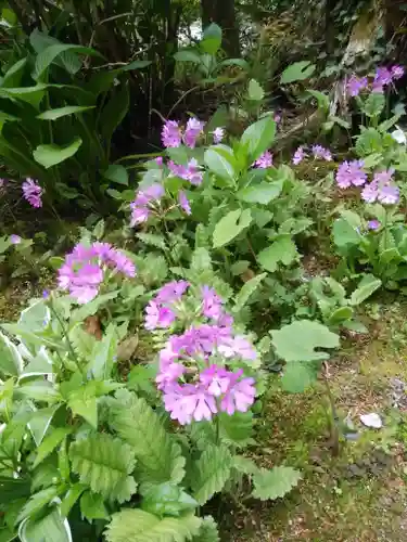 石都々古和気神社の自然