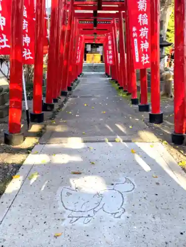 於菊稲荷神社の鳥居