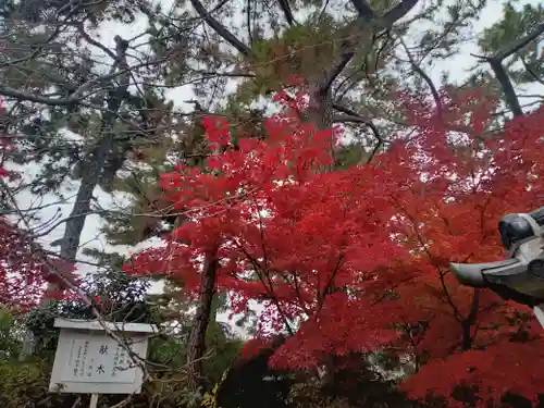 阿部野神社(大阪府)