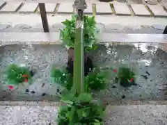 新田神社の手水