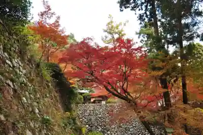 西山興隆寺(愛媛県)
