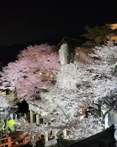 南法華寺（壷阪寺）(奈良県)