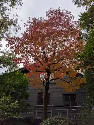乃木神社(東京都)