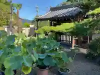 更雀寺(京都府)