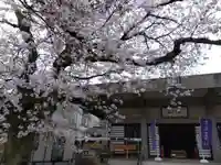 妙経寺(福井県)