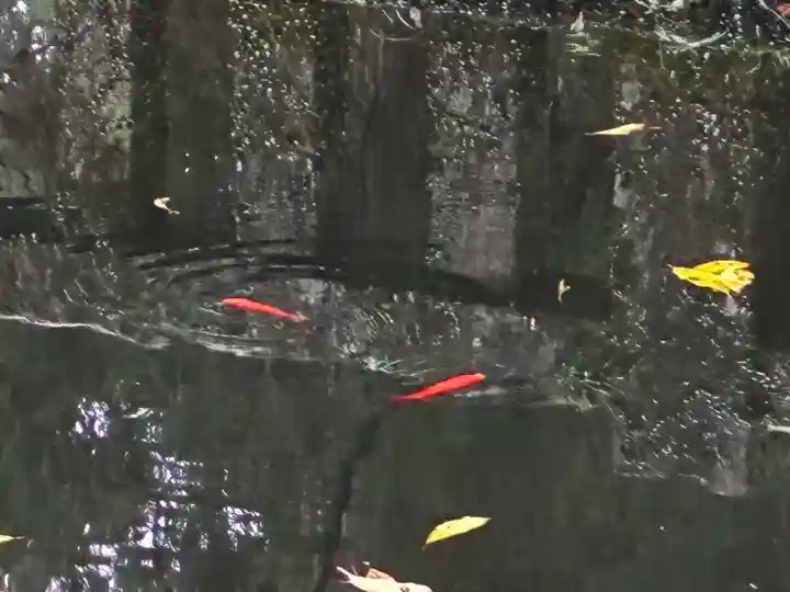 室生寺奥の院(奈良県)