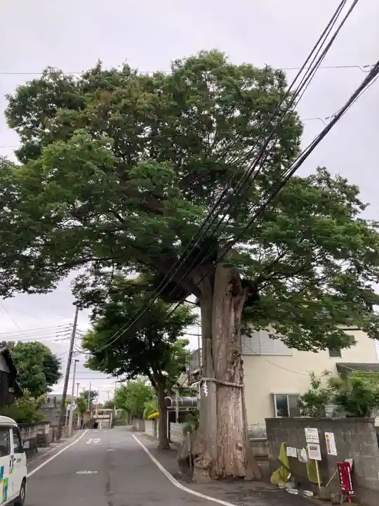 相模国総社六所神社(神奈川県)