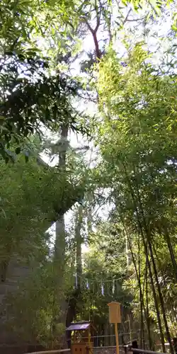 自由が丘熊野神社の自然