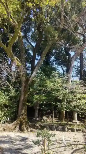 八坂神社(祇園さん)(京都府)
