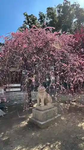 屯倉神社(大阪府)