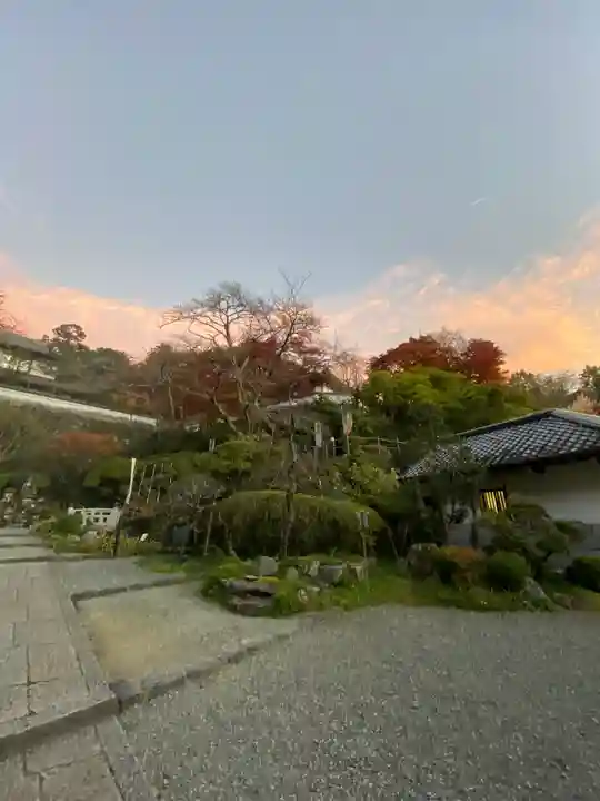 岡寺(龍蓋寺)(奈良県)