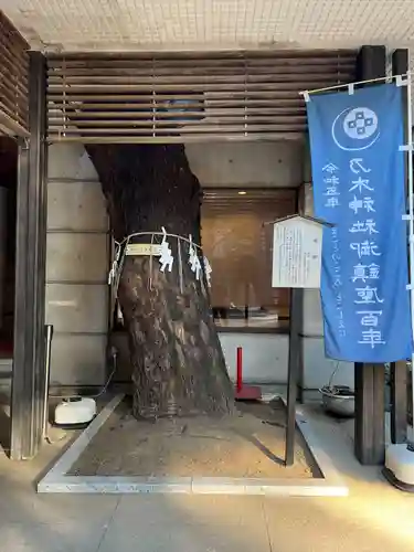 乃木神社(東京都)