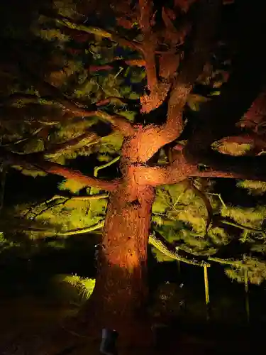 平安神宮の自然