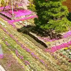 寿量山　速成寺の庭園