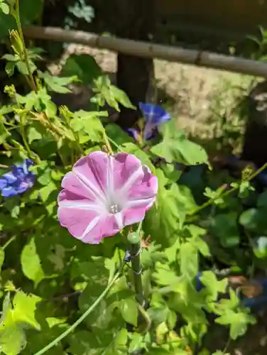 勝林寺(京都府)