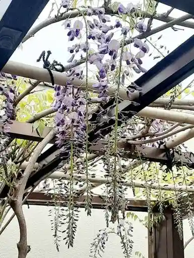 西方山極楽寺(岐阜県)