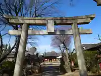 上戸田氷川神社の鳥居