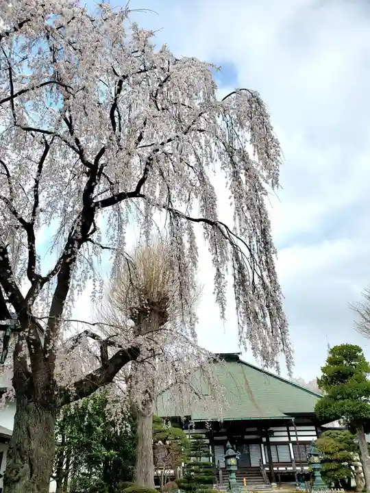 長松院(福島県)