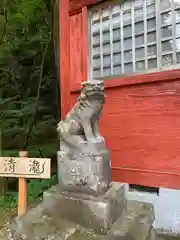 清瀧神社の狛犬