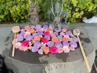 駒込妙義神社(東京都)