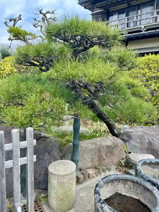日蓮宗龍口山本龍寺の{uncategorized: "未分類", other: "その他", undefined: "問題あり", building: "その他建物", grave: "お墓", sacred_gate: "鳥居", guardian: "狛犬", statue: "像", buddha: "仏像", history: "歴史", nature: "自然", garden: "庭園", animal: "動物", pagoda: "塔", temizu: "手水舎", mountain_gate: "山門・神門", sanctuary: "本殿・本堂", subordinate: "末社・摂社", art: "芸術", scenery: "景色", jizo: "地蔵", ema: "絵馬", goshuin: "御朱印", omikuji: "おみくじ", items: "授与品その他", amulet: "お守り", goshuincho: "御朱印帳", eats: "食事", festival: "お祭り", votive_dance: "神楽", shichigosan: "七五三参", wedding: "結婚式", experience: "体験その他", initially: "初詣", around: "周辺", anti_infection: "感染症対策"}